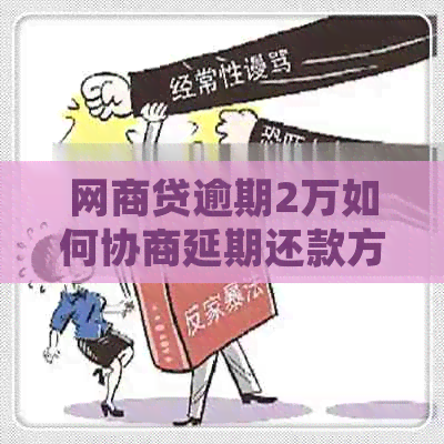 白条贷逾期2万如何协商延期还款方案