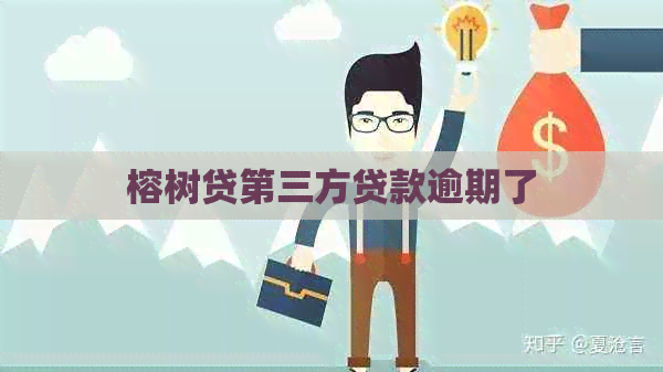 榕树贷第三方贷款逾期了