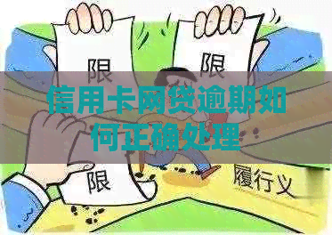 信用卡网贷逾期如何正确处理