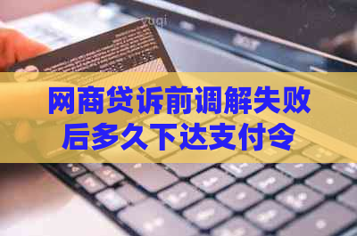白条贷诉前调解失败后多久下达支付令