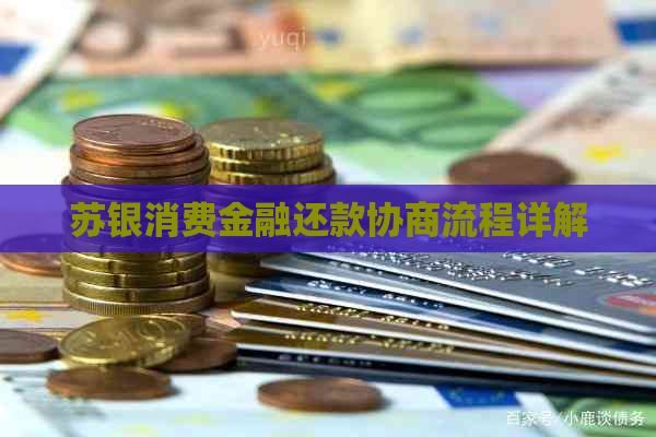 苏银消费金融还款协商流程详解