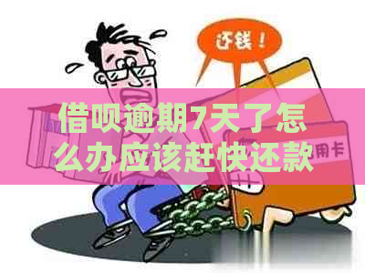 信用卡逾期7天了怎么办应该赶快还款