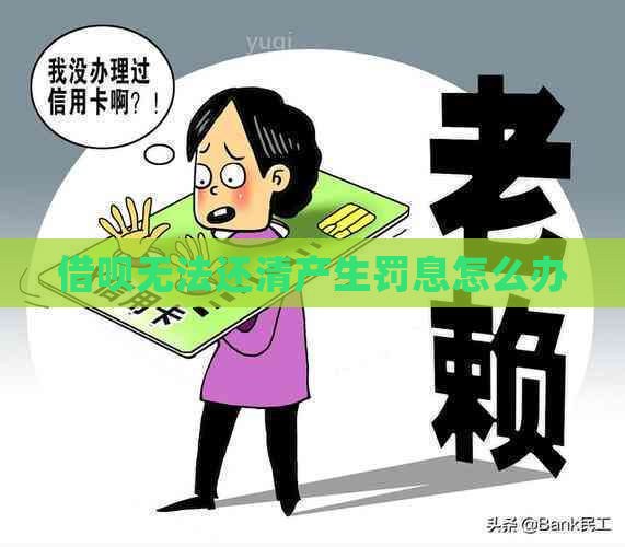 信用卡无法还清产生罚息怎么办