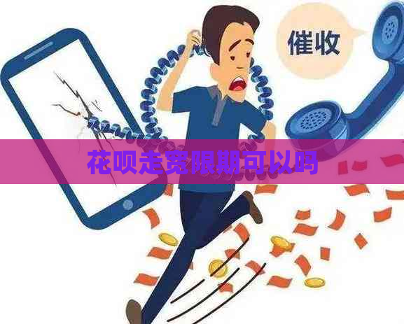 白条走宽限期可以吗
