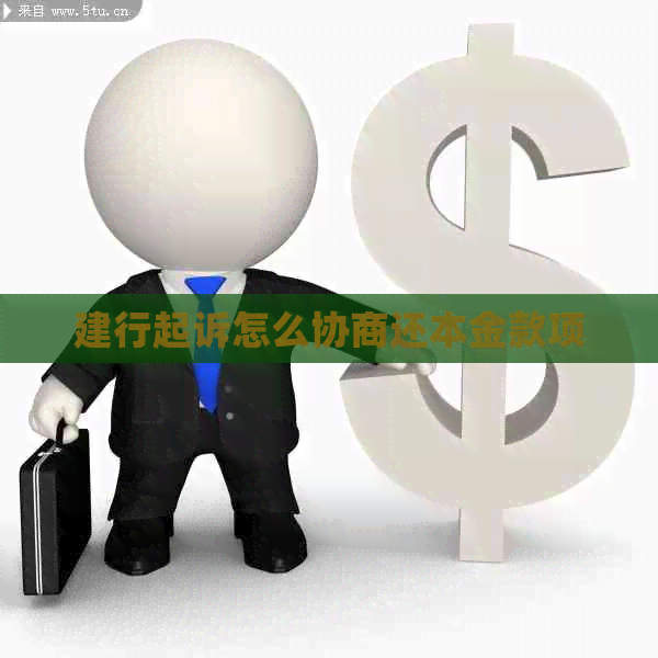 建行起诉怎么协商还本金款项