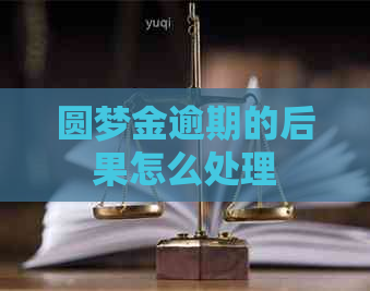 圆梦金逾期的后果怎么处理