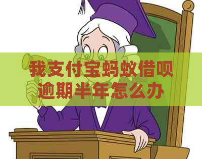 我信用卡蚂蚁信用卡逾期半年怎么办