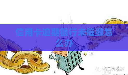 信用卡逾期银行未催缴怎么办