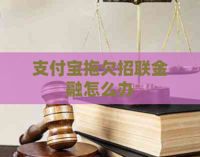 信用卡拖欠招联金融怎么办