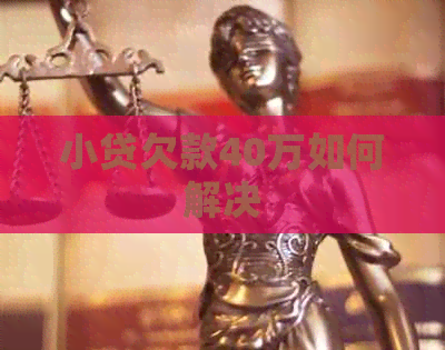 小贷欠款40万如何解决