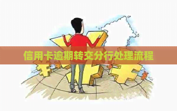 信用卡逾期转交分行处理流程