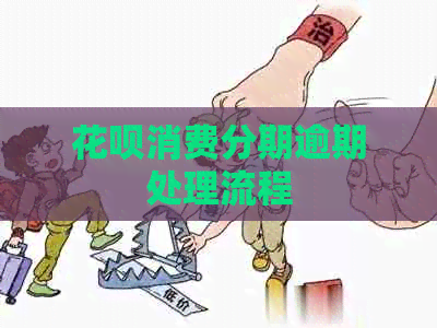白条消费分期逾期处理流程