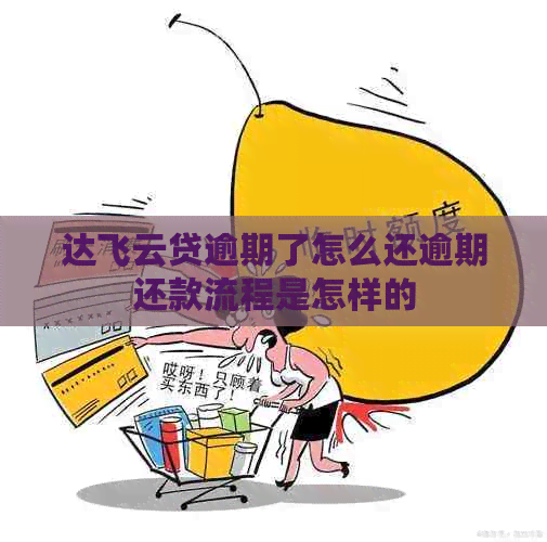 达飞云贷逾期了怎么还逾期还款流程是怎样的