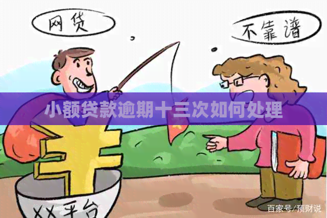 小额贷款逾期十三次如何处理