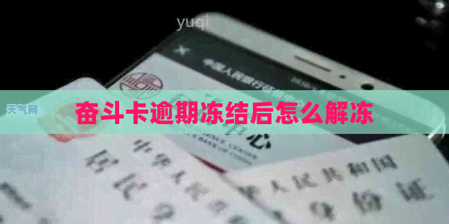 奋斗卡逾期冻结后怎么解冻