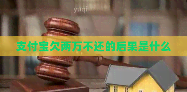 信用卡欠两万不还的后果是什么