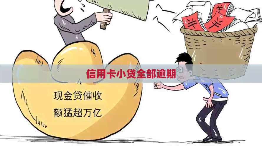 信用卡小贷全部逾期