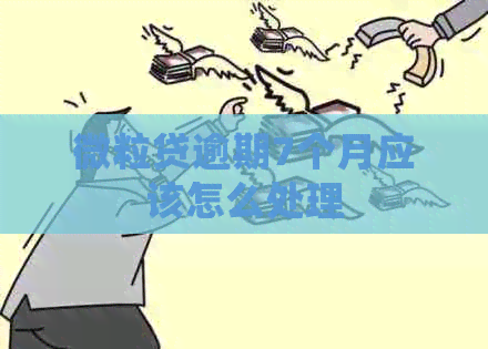 微粒贷逾期7个月应该怎么处理