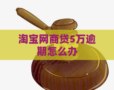淘宝白条贷5万逾期怎么办