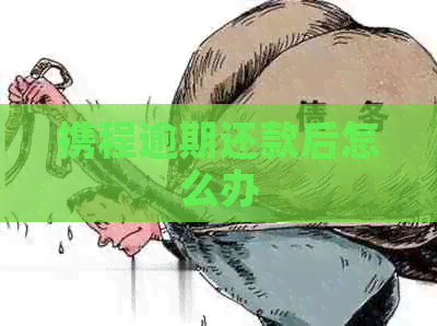 携程逾期还款后怎么办