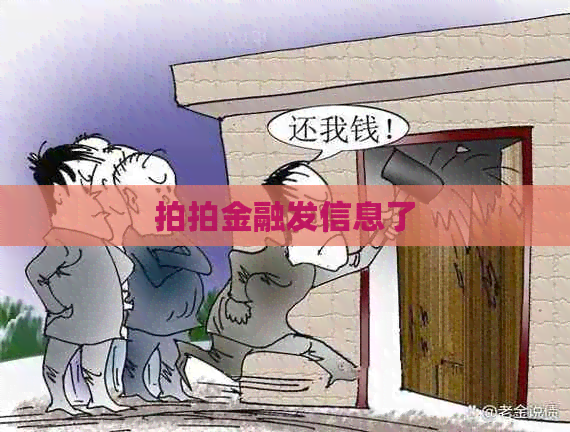 拍拍金融发信息了