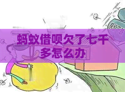 蚂蚁信用卡欠了七千多怎么办