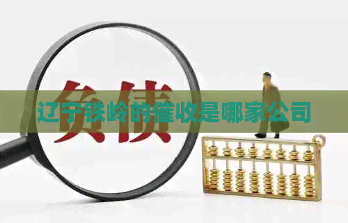 辽宁铁岭的是哪家公司