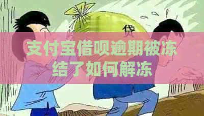 信用卡信用卡逾期被冻结了如何解冻