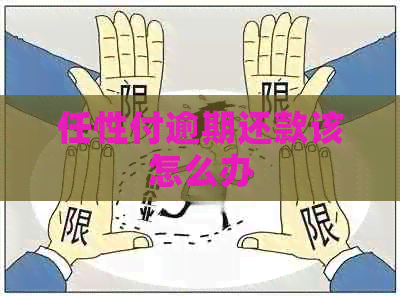 任性付逾期还款该怎么办