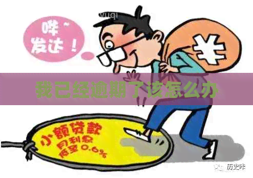 我已经逾期了该怎么办