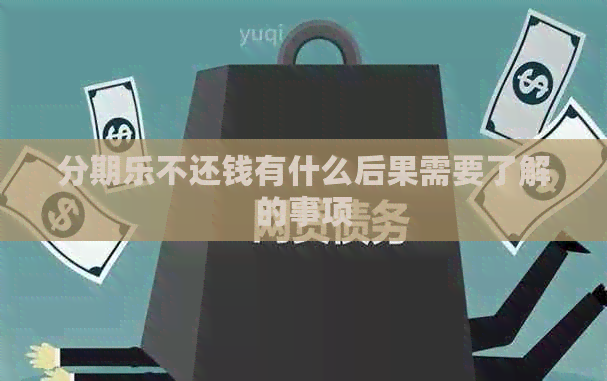不还钱有什么后果需要了解的事项