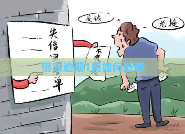 信用卡逾期1周如何处理