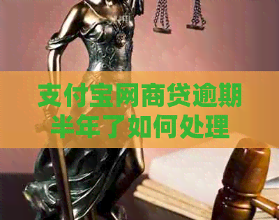 信用卡白条贷逾期半年了如何处理