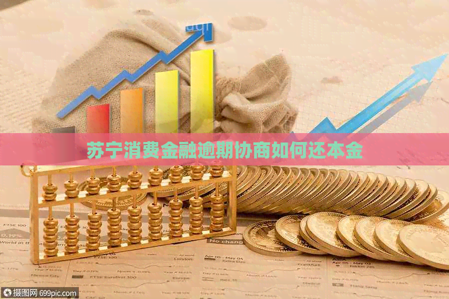 苏宁消费金融逾期协商如何还本金