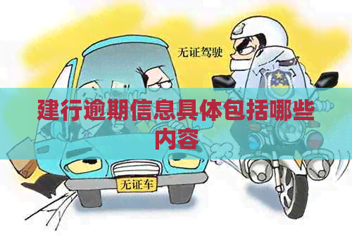 建行逾期信息具体包括哪些内容