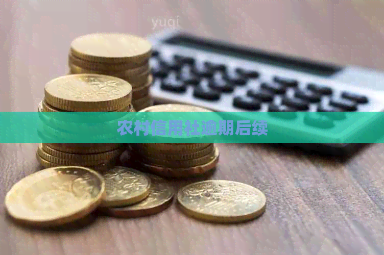 农村信用社逾期后续