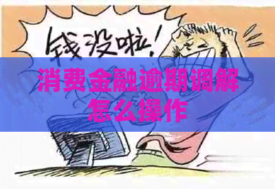 消费金融逾期调解怎么操作
