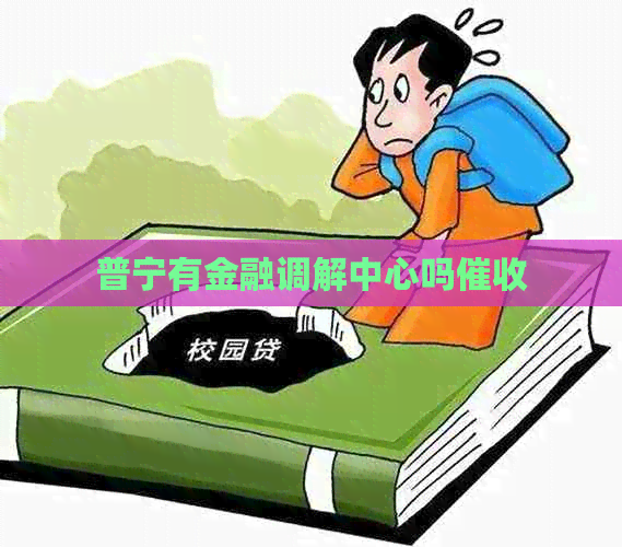 普宁有金融调解中心吗