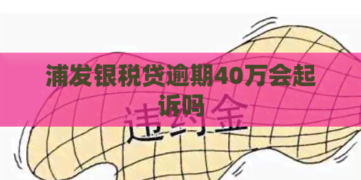 浦发银税贷逾期40万会起诉吗