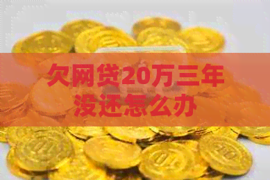 欠网贷20万三年没还怎么办