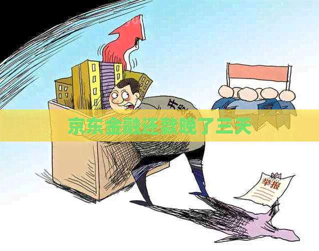 京东金融还款晚了三天