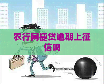农行网捷贷逾期上吗