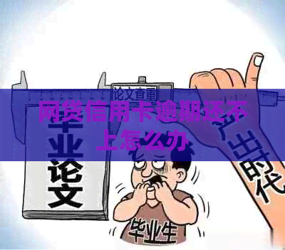 网贷信用卡逾期还不上怎么办