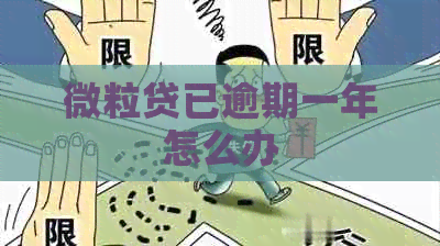 微粒贷已逾期一年怎么办