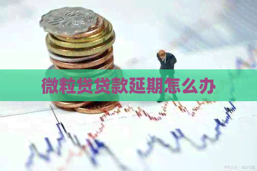 微粒贷贷款延期怎么办