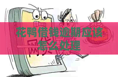 花鸭借钱逾期应该怎么处理