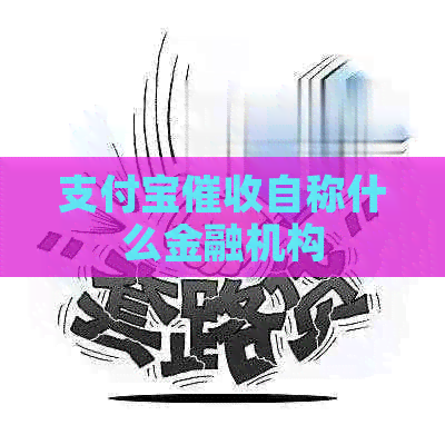 信用卡自称什么金融机构