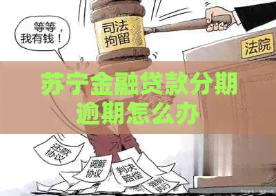 苏宁金融贷款分期逾期怎么办