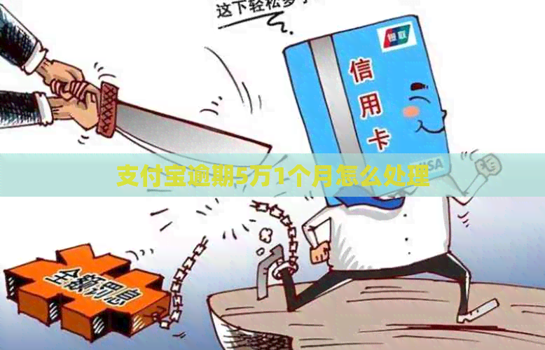 信用卡逾期5万1个月怎么处理