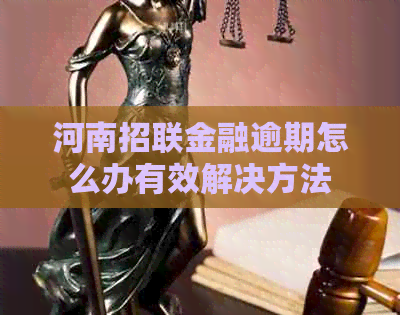 河南招联金融逾期怎么办有效解决方法